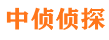 下陆市婚姻调查